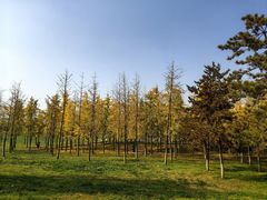 -汉长安城未央宫国家考古遗址公园