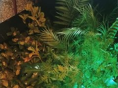 -江小渔鲜鱼火锅(西二道街店)