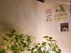 -Ocean's Table 欧舍