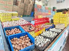 -江杨农产品批发市场