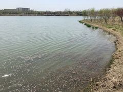 -东郊湿地公园