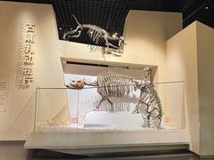 -国家自然博物馆