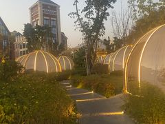 -悦见花开·花园里的火锅·露营·下午茶