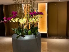 -广州花园酒店