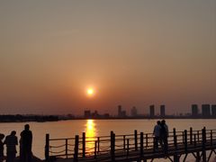 -瑶湖郊野森林公园