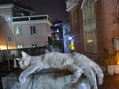 -猫岛主趣味餐厅(鼓浪屿店)
