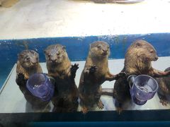 -华夏文旅海洋公园