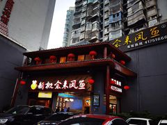 -新概念来凤鱼(璧山店)