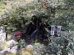 -豆政(金閣寺境内売店)