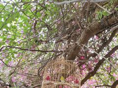 -深圳国际园林花卉博览园