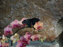 -上海动物园(地铁站)