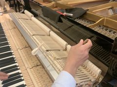 -柏斯音乐艺术中心·钢琴·吉他(上音店)