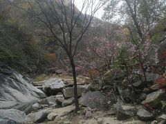 -黑龙潭风景区