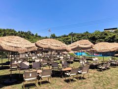 -桃源山庄·水蜜桃采摘·柴火鸡·烧烤团建(龙泉山店)