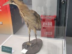 -陕西科学技术馆