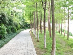 -月湖风景区