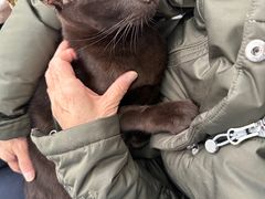 -北京赛佳动物医院