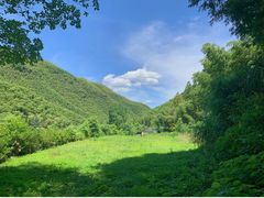 -中国大竹海景区