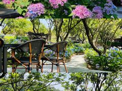 -水濂山森林公园