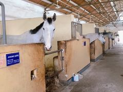 -松声马术俱乐部