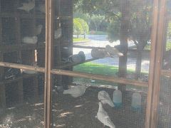 -青岛鑫江温德姆酒店