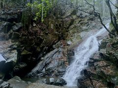 -藏龙百瀑风景区