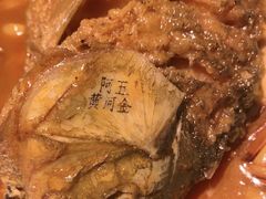 -阿五黄河大鲤鱼(英协路店)
