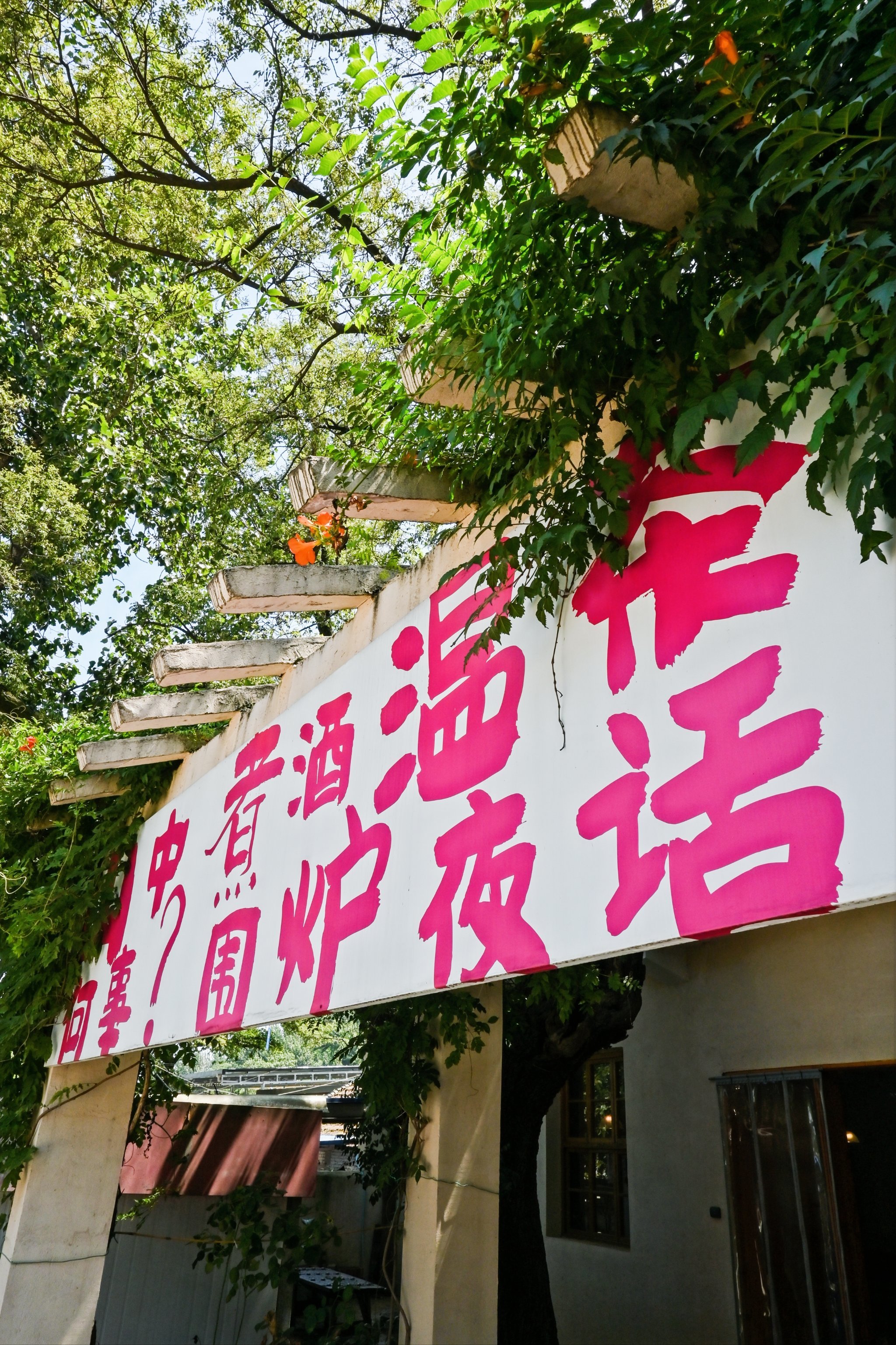 欢迎来到方若·民宿玫瑰园这里是一个融合现代与古代的绝美打卡