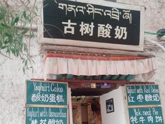 -古树酸奶(八廓南街店)