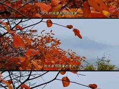 -秦岭终南山世界地质公园翠华山景区