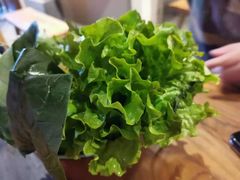 -十六蒲(桂林路店)