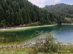 -武陵山森林公园