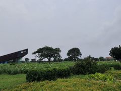 -天津东疆湾沙滩景区