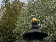 -罔极寺