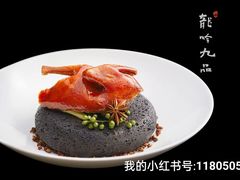 -龙吟九品(园博园店)