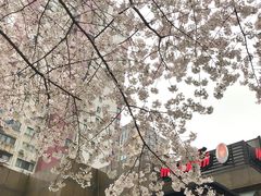 -玛格萝妮比萨屋(四平店)