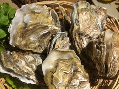 -鸽子窝(宋庄店)