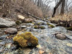 -玉渡山自然风景区