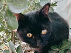 -五进制 Coffee Shop