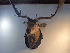 -山也·私厨(岳麓店)