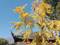 -西园戒幢律寺