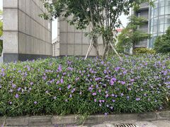 -杭州师范大学(下沙校区)
