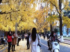 -四川大学(华西校区)