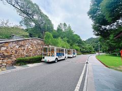 -桃花岭景区