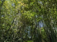 -凤栖山