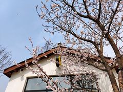 -好运来农家菜(吉林路店)