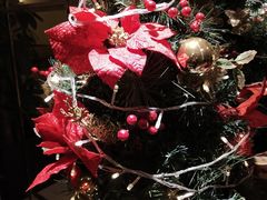 -深圳维景酒店-维景轩