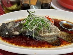 清蒸龙胆鱼-鸿鑫海鲜楼(福辉店)