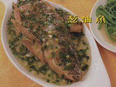 葱油鲩-粤友餐厅