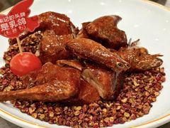 -朱记乳鸽王·非遗石岐乳鸽·全鸽宴(大兴旗舰店)
